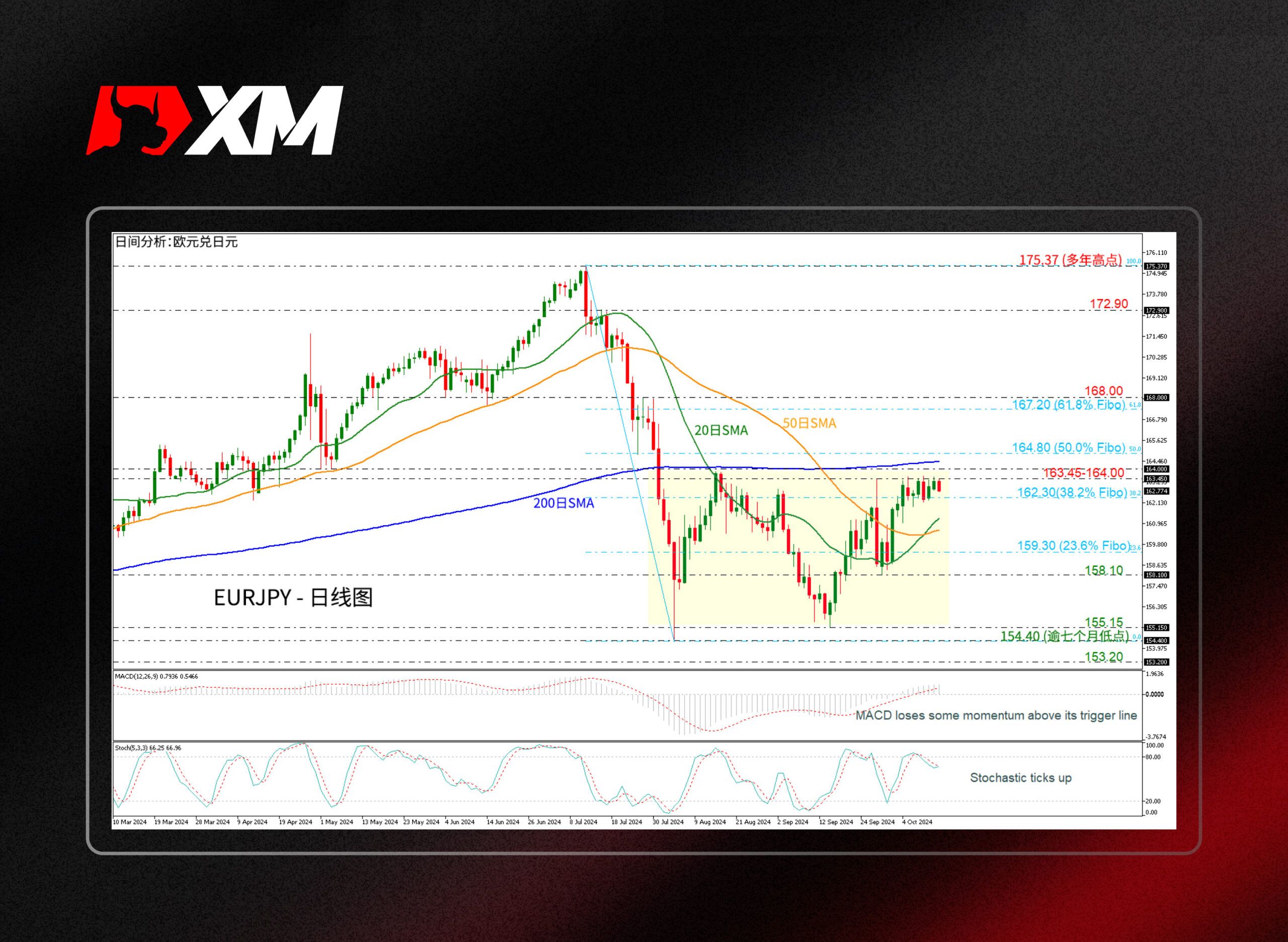 XM官网:技术分析 – EURJPY测试强劲阻力区间163.45-164.00